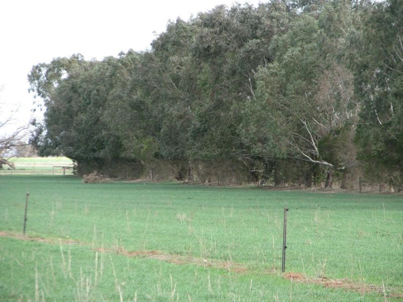 Finley NSW 2713