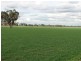 Finley NSW 2713