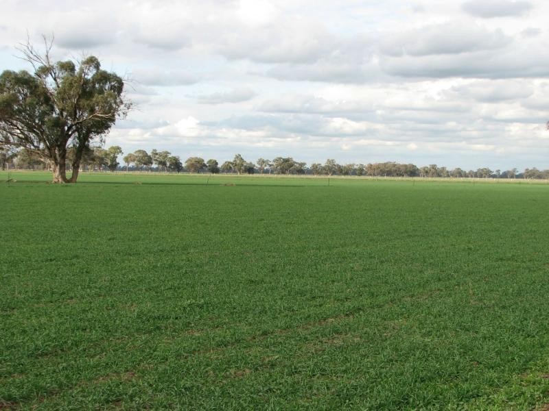 Finley NSW 2713