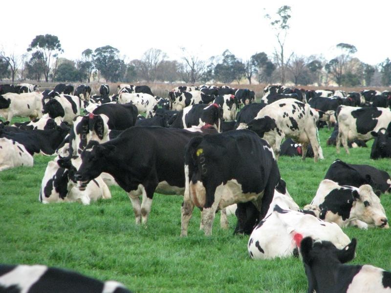 569 Macarthur Road, Yarroweyah VIC 3644