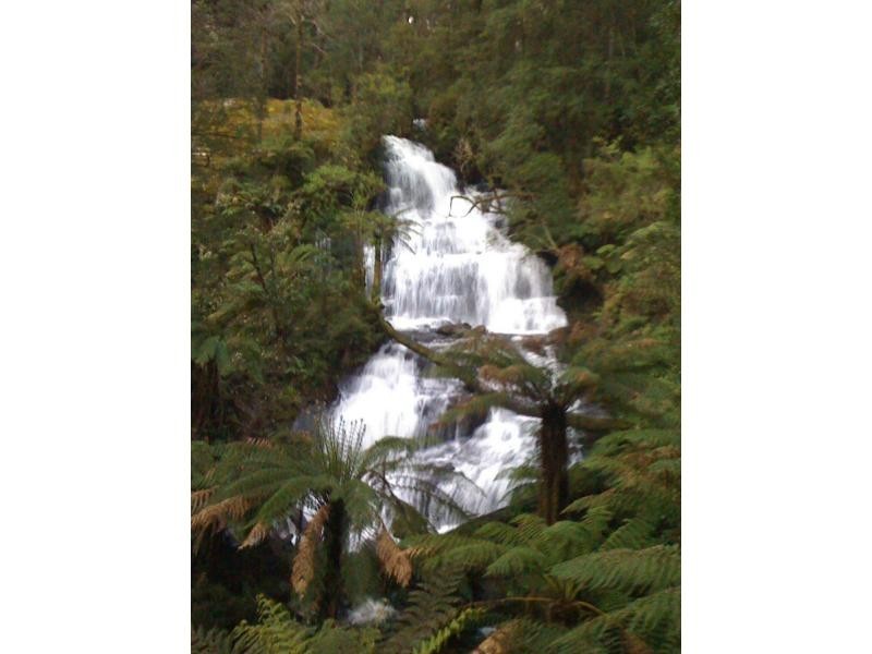 Beech Forest VIC 3237