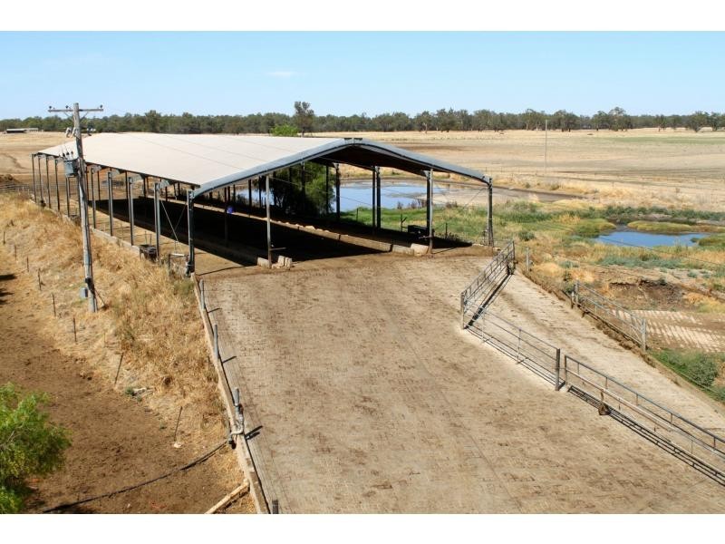Wagga Wagga NSW 2650