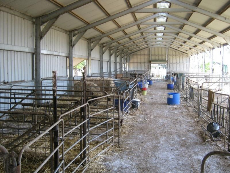 Wagga Wagga NSW 2650