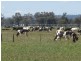 Wagga Wagga NSW 2650