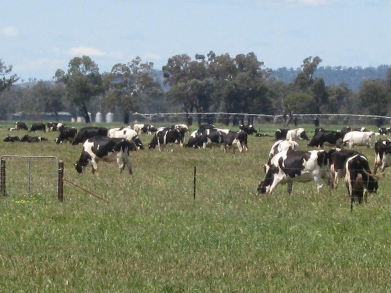 Wagga Wagga NSW 2650