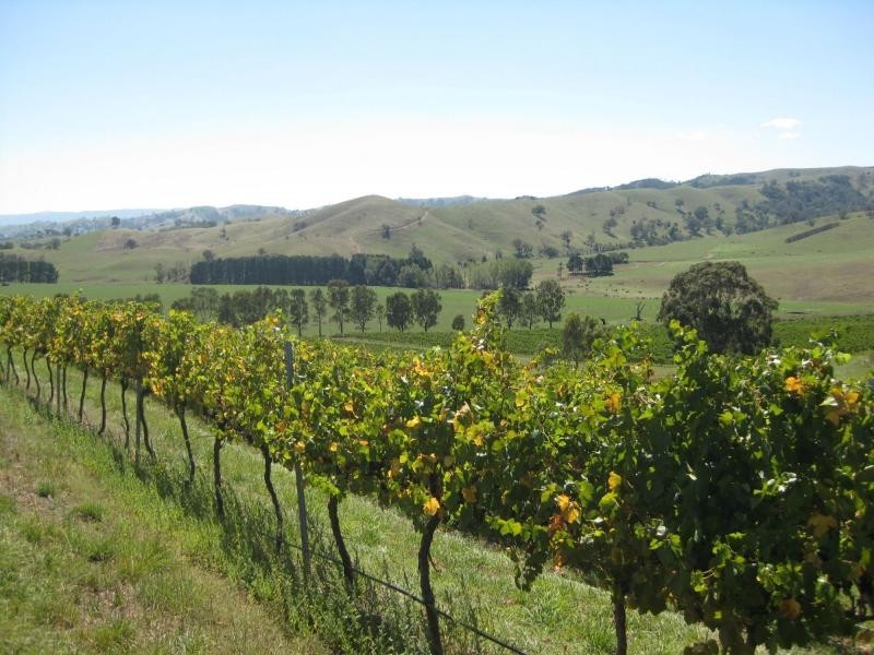 Murrindindi VIC 3717