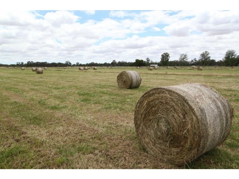 1210 Murray Valley Highway, Cobram VIC 3644