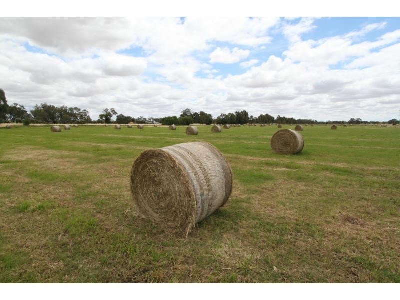 1210 Murray Valley Highway, Cobram VIC 3644