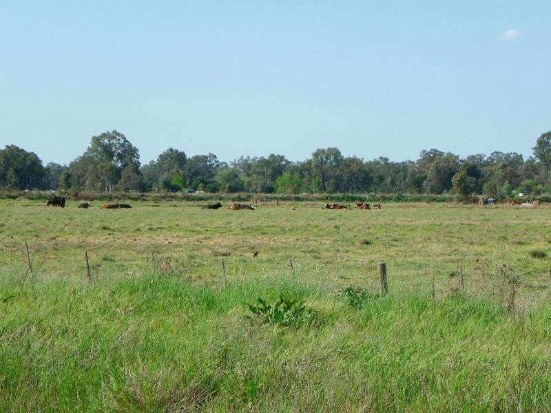 1210 Murray Valley Highway, Cobram VIC 3644