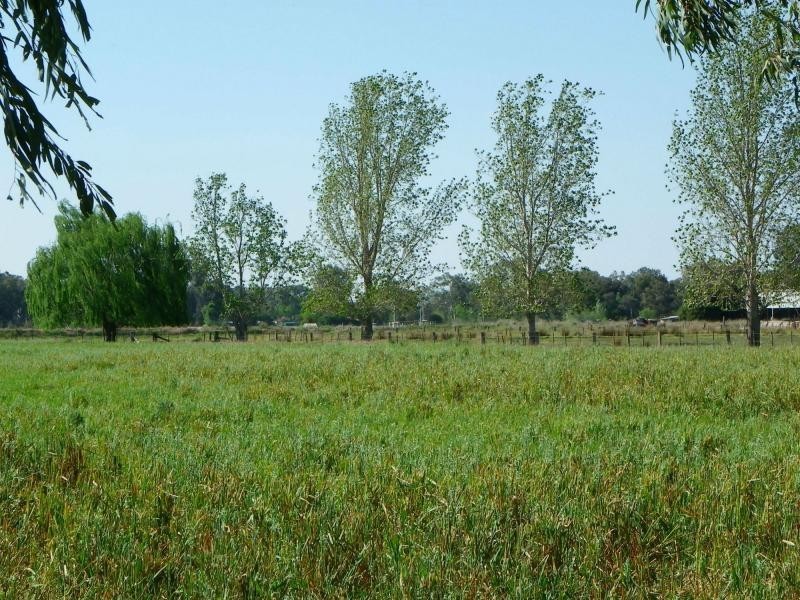 1210 Murray Valley Highway, Cobram VIC 3644