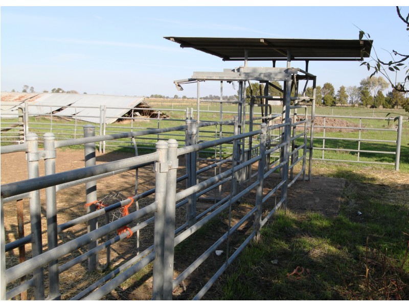 849 Barnes Rd, Katamatite East VIC 3649