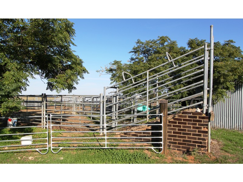 849 Barnes Rd, Katamatite East VIC 3649