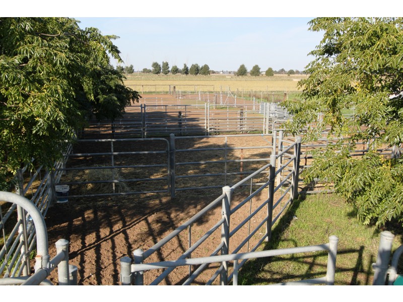 849 Barnes Rd, Katamatite East VIC 3649