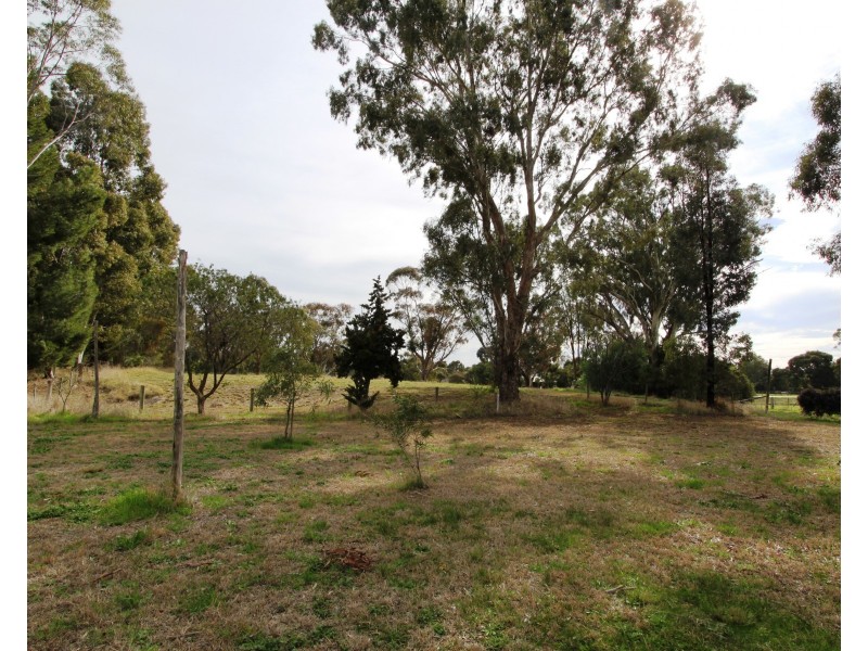 79 Nangunia St, Barooga VIC 3644