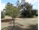 79 Nangunia St, Barooga VIC 3644