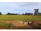 159 McCullochs Rd, Tocumwal NSW 2714