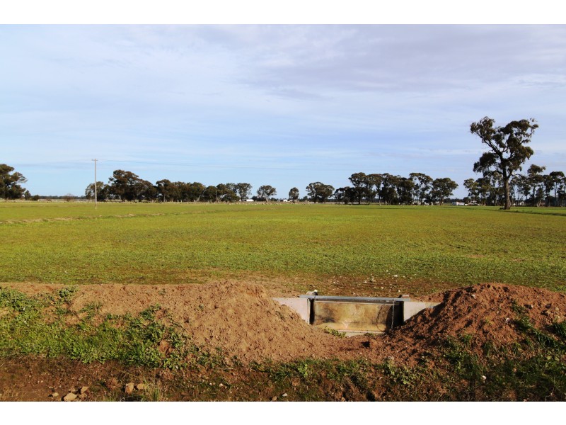 159 McCullochs Rd, Tocumwal NSW 2714