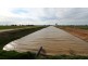 159 McCullochs Rd, Tocumwal NSW 2714