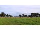 159 McCullochs Rd, Tocumwal NSW 2714