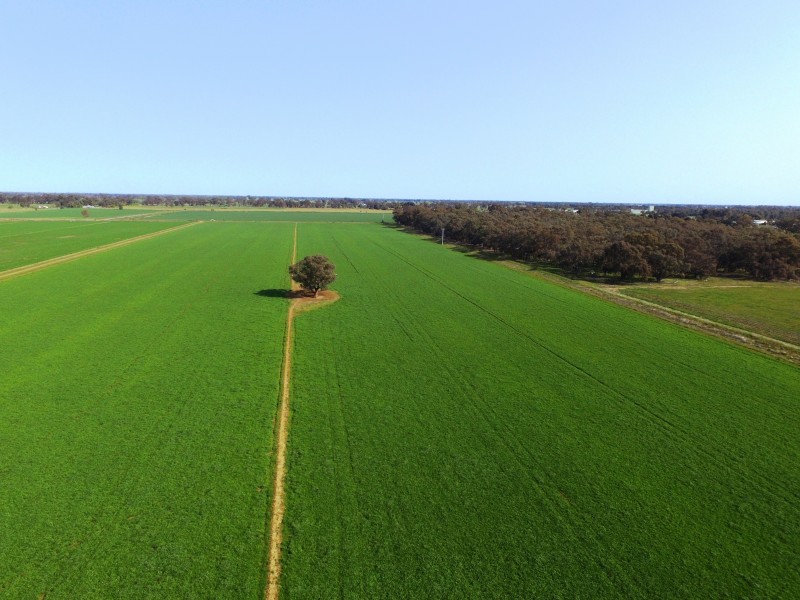 Strathmerton VIC 3641