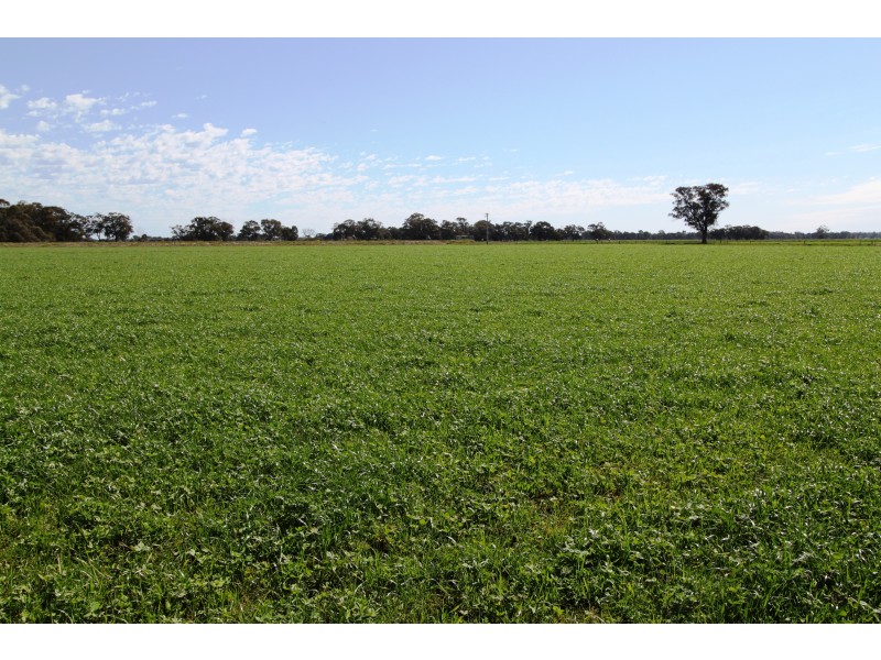 Strathmerton VIC 3641