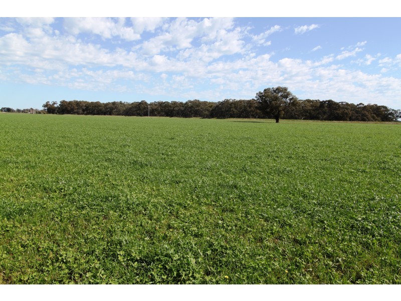 Strathmerton VIC 3641