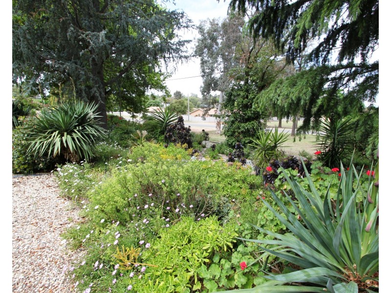 2 Hughes St, Barooga NSW 3644