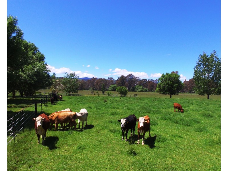 2167 Kiewa Valley Hwy, Kergunyah VIC 3691