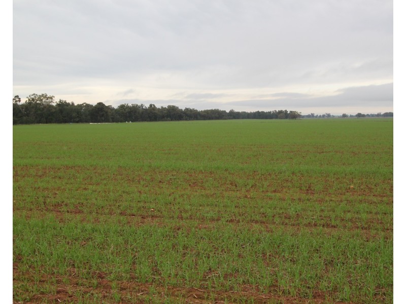 2053 Strontien Road, Boree Creek NSW 2652