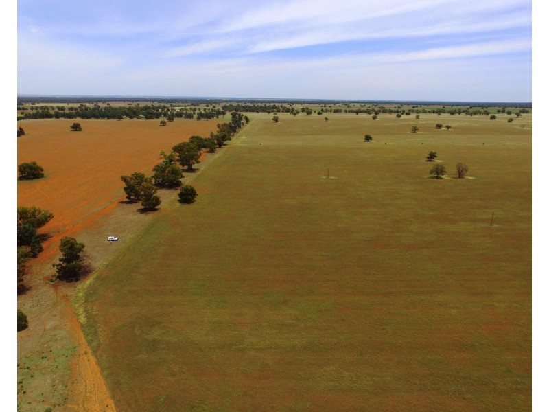 1755 Greenvale Road, Boree Creek NSW 2652