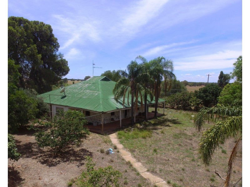 1755 Greenvale Road, Boree Creek NSW 2652