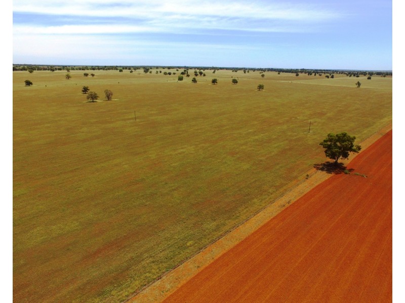 1755 Greenvale Road, Boree Creek NSW 2652