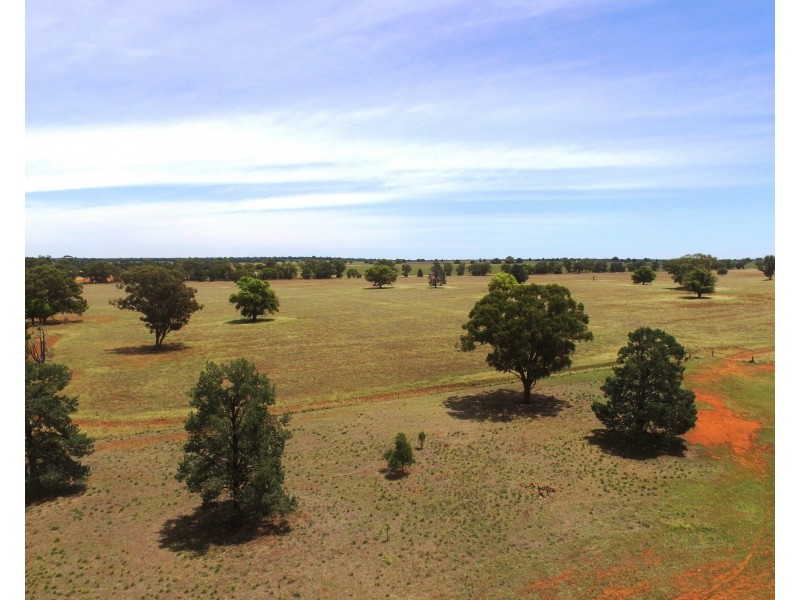 1755 Greenvale Road, Boree Creek NSW 2652