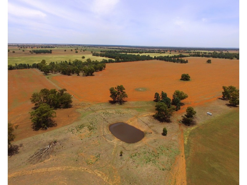 1755 Greenvale Road, Boree Creek NSW 2652