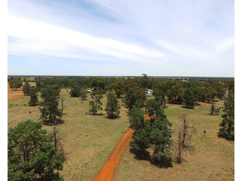 1755 Greenvale Road, Boree Creek NSW 2652