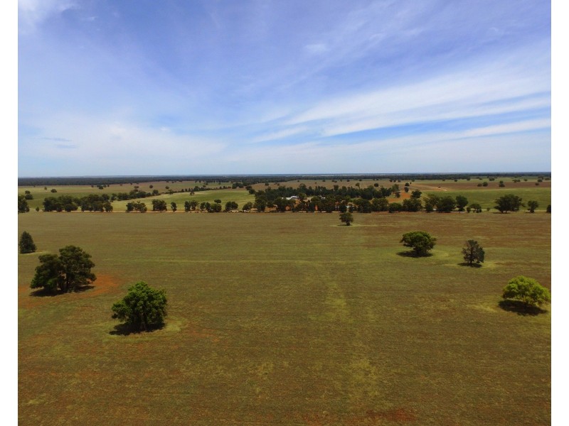 1755 Greenvale Road, Boree Creek NSW 2652