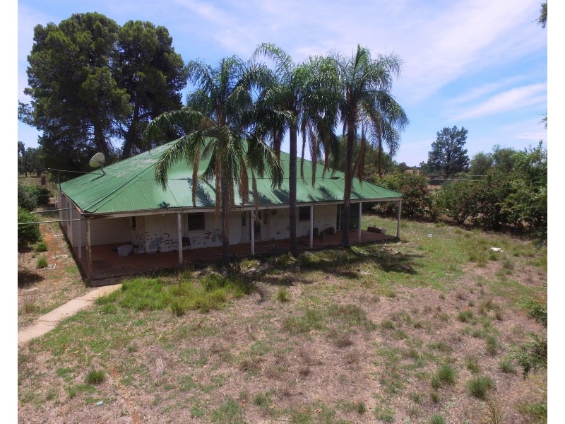 1755 Greenvale Road, Boree Creek NSW 2652