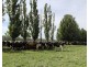 334 Mywee Rd, Strathmerton VIC 3641