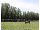 334 Mywee Rd, Strathmerton VIC 3641