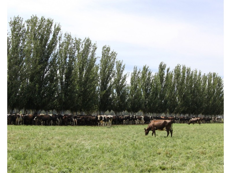 334 Mywee Rd, Strathmerton VIC 3641