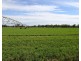 334 Mywee Rd, Strathmerton VIC 3641
