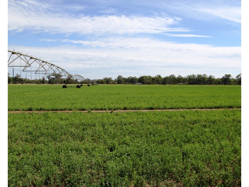 334 Mywee Rd, Strathmerton VIC 3641