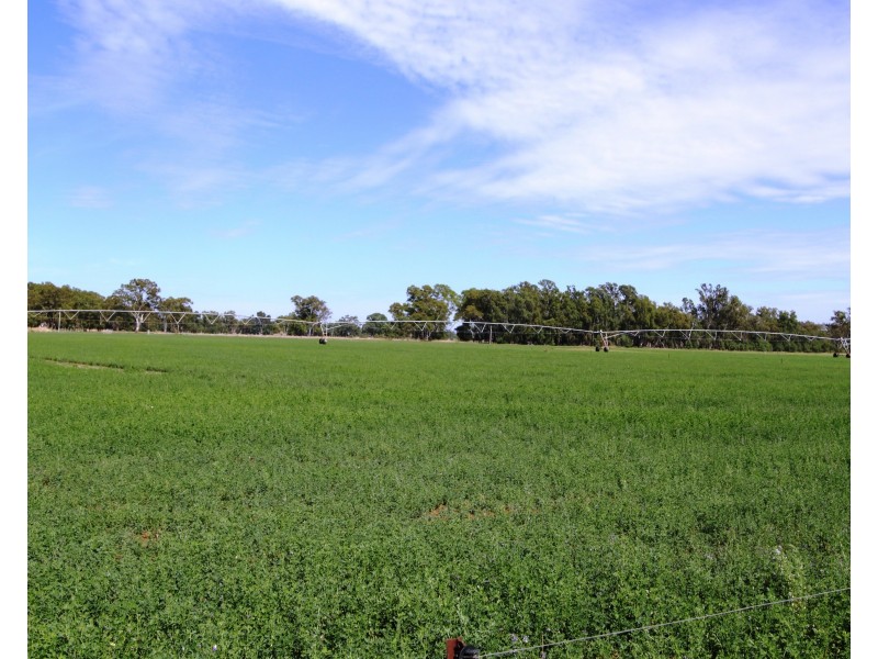 334 Mywee Rd, Strathmerton VIC 3641