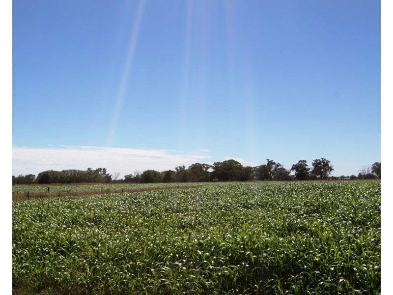 500 Reynoldsons Road, Strathmerton VIC 3641