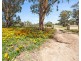25 Burma Rd, Tocumwal NSW 2714