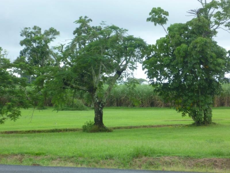 66 – 68 Mill Street, Mourilyan, Mourilyan QLD 4858