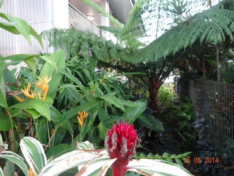 East Innisfail QLD 4860