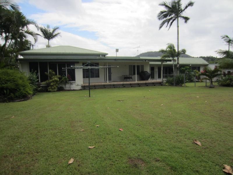 Coconuts QLD 4860