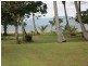 Coconuts QLD 4860