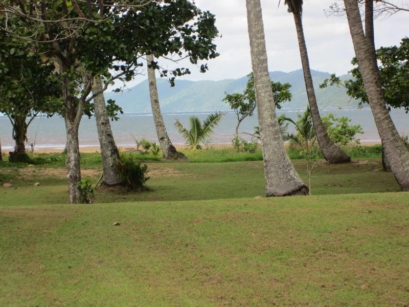 Coconuts QLD 4860